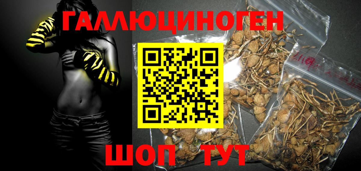Галлюциногенные грибы MAGIC MUSHROOMS Клин