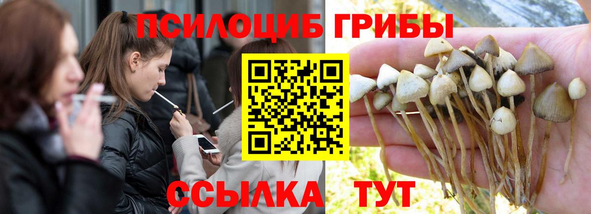Галлюциногенные грибы Magic Shrooms  Псилоцибиновые грибы мухоморы  Вход с VPN  Клин 