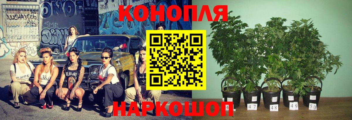 Марихуана Ganja Клин